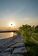 Bird Flies in front of the Sunset Photograph by John Twynam Bird Flies in front of the Sunset Photograph by John Twynam