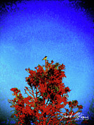 Bird in Tree Digital Art by David McKinney Bird in Tree Digital Art by David McKinney