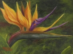 Bird Of Paridise 2 Painting by Darice Machel McGuire
