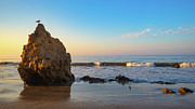 Bird on a Rock after Sunrise Photograph by Matthew DeGrushe Bird on a Rock after Sunrise Photograph by Matthew DeGrushe