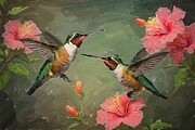 Bird painting of hummingbirds pollinating rose mallow flowers Digital Art by Gerry Martinez Nature Wall Art Large Prints