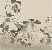 Bird with berries - Tsukioka Kogyo Digital Art by Samuel HUYNH