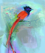 Birds-African Paradise Flycatcher Mixed Media by Zsanan Studio