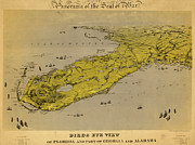Birds eye view of Florida and part of Georgia and Alabama 1861 Drawing by Vintage Maps