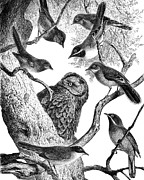Birds in a tree Digital Art by Madame Memento