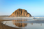 Birds on the Shoreline at Morro Rock Photograph by Matthew DeGrushe Birds on the Shoreline at Morro Rock Photograph by Matthew DeGrushe