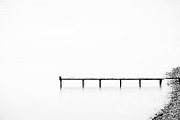 Birds Sitting on an Old Pier in Black and White Photograph by Alexios Ntounas