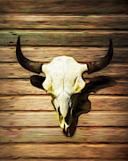 Bison Skull 009 Photograph by Rob Graham Bison Skull 009 Photograph by Rob Graham