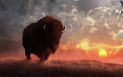 Bison Sunset Digital Art by Daniel Eskridge Bison Sunset Digital Art by Daniel Eskridge