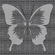 Black and  Aluminum Butterfly  Digital Art by Diego Taborda