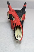 Black and Red Skull Mixed Media by Charla Van Vlack Black and Red Skull Mixed Media by Charla Van Vlack