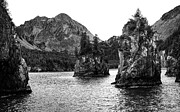 Black And White Resurrection Bay Photograph by Dan Sproul