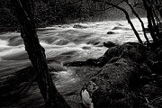 Black And White River 3 Photograph by Phil Perkins Black And White River 3 Photograph by Phil Perkins