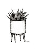 Black and White Succulent in Mid Century Pot Drawing by Donna Mibus