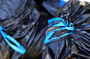 Black garbage bags tied with blue strings Photograph by Dtimiraos