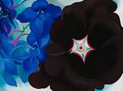 Black Hollyhock Blue Larkspur - Georgia O'Keeffe Digital Art by Samuel HUYNH