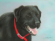 Black Lab2 Pastel by Carol Corliss