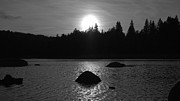 Black or White Photograph by Karine GADRE