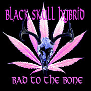 Black Skull Hybrid Digital Art by Vallee Johnson Black Skull Hybrid Digital Art by Vallee Johnson
