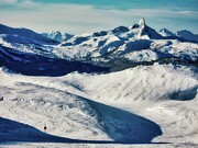 Black Tusk Digital Art by Bruce Block