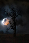 BloodMoon Photograph by Aaron J Groen