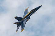 Blue Angel Up Close Photograph by Jeff Saunders