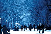 Central Park Photograph by Kelly Markus