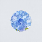 Blue Hydrangea Flower on Grey Painting by Elizabeth Reich