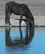 Blue Photograph by Mary Hone