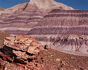Blue Mesa Wood Photograph by Tom Daniel