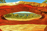 Blue Mountains Anvil Rock Trail Photograph by Benny Marty Blue Mountains Anvil Rock Trail Photograph by Benny Marty