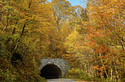 Blue Ridge Parkway Tunnel in Fall Photograph by Joni Eskridge