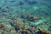 Blue sea water, rocks and gentle waves 1 Photograph by Adriana Mueller