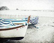 Blue Stripes Photograph by Lupen Grainne