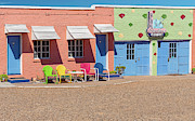 Blue Swallow Court Photograph by Thomas Hall