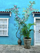 Blue Wall Photograph by Leslie Brashear