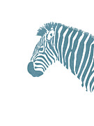 Blue Zebra Print - Scandinavian Nursery Decor - Animal Friends - For Kids Room - Minimal Mixed Media by Studio Grafiikka Blue Zebra Print - Scandinavian Nursery Decor - Animal Friends - For Kids Room - Minimal Mixed Media by Studio Grafiikka