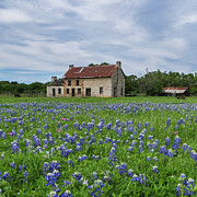 Bluebonnet House Marble Falls Texas Photograph by Robert Bellomy Bluebonnet House Marble Falls Texas Photograph by Robert Bellomy