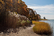 Bluff Point Stroll Photograph by Kirkodd Photography Of New England
