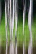 Blurred Reflection Photograph by Melissa Southern