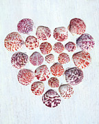 Blushing Heart Photograph by Kathi Mirto