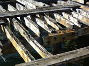 Boat Dock 2 Photograph by JJ Whitley Boat Dock 2 Photograph by JJ Whitley
