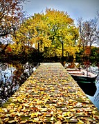 Boat Dock, Autumn Photograph by Sarah Lilja Boat Dock, Autumn Photograph by Sarah Lilja