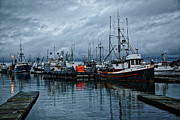 Boats in the morning Photograph by Loyd Towe Photography