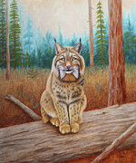 Bobcat Painting by Monica Burnette