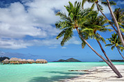 Bora Bora Pearl Beach water bungalows Photograph by Olivier Parent