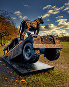 Born Free Photograph by Micah Offman