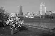 Boston Charles River on a Spring day Black and White Photograph by Toby McGuire Boston Charles River on a Spring day Black and White Photograph by Toby McGuire