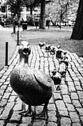 Boston Massachusetts Iconic Make Way For Ducklings Public Art Piece - Black And White Photograph by Gregory Ballos Boston Massachusetts Iconic Make Way For Ducklings Public Art Piece - Black And White Photograph by Gregory Ballos