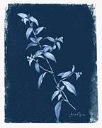 Botanical Cyanotype Series No. Three Digital Art by Linda Lee Hall